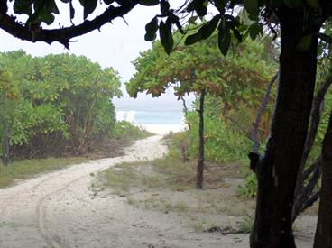 2004 Meedhupparu Malediven,_DSC03433 B_478